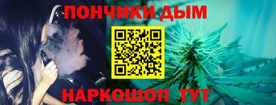 шишки Краснодар