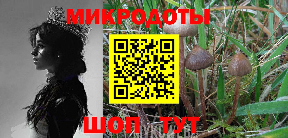 Псилоцибиновые грибы мицелий Камышлов