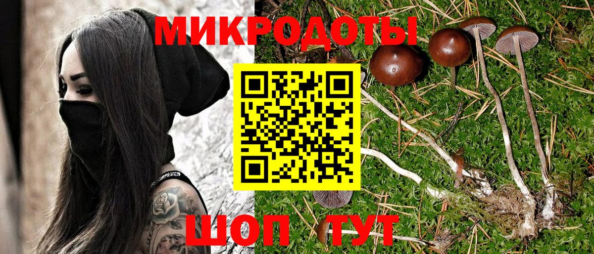 Камышлов  Псилоцибиновые грибы Cubensis  Псилоцибиновые грибы Psilocybine cubensis  Вход с VPN 