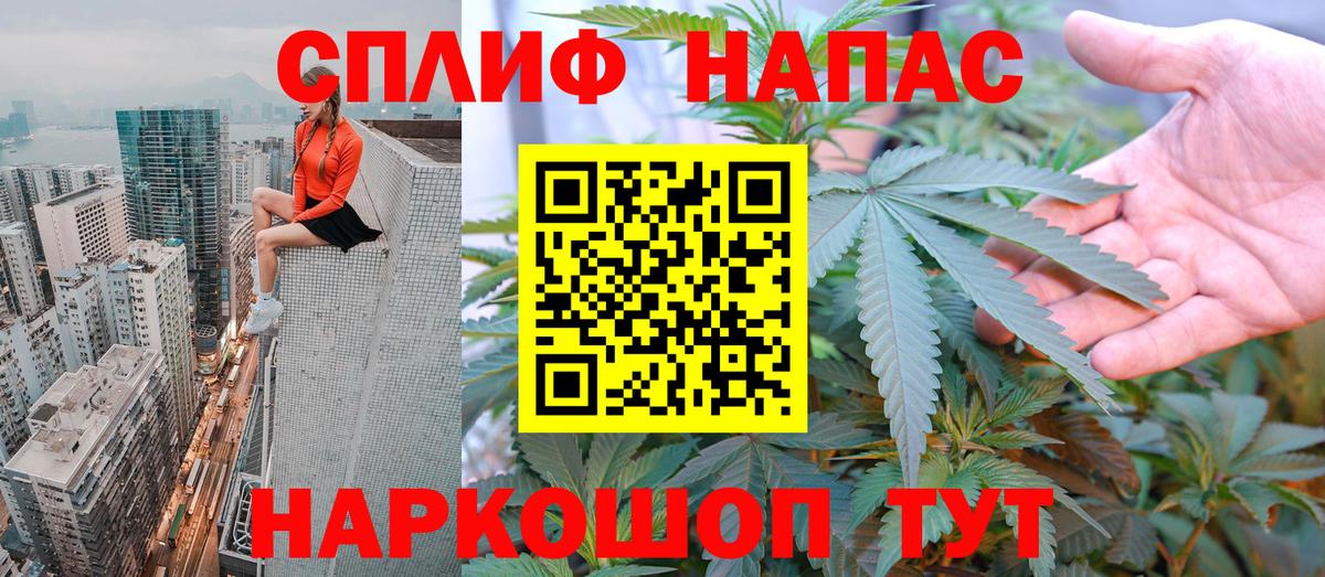 Бошки марихуана марихуана  Вход с VPN  Камышлов  Канабис VHQ  МАРИХУАНА SATIVA & INDICA 